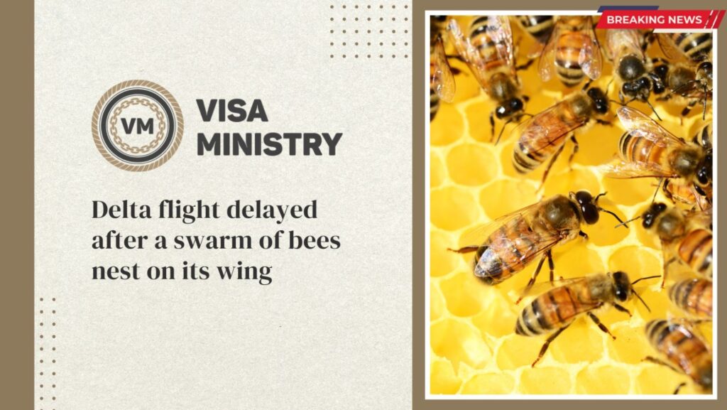 Delta flight delayed after a swarm of bees nest on its wing