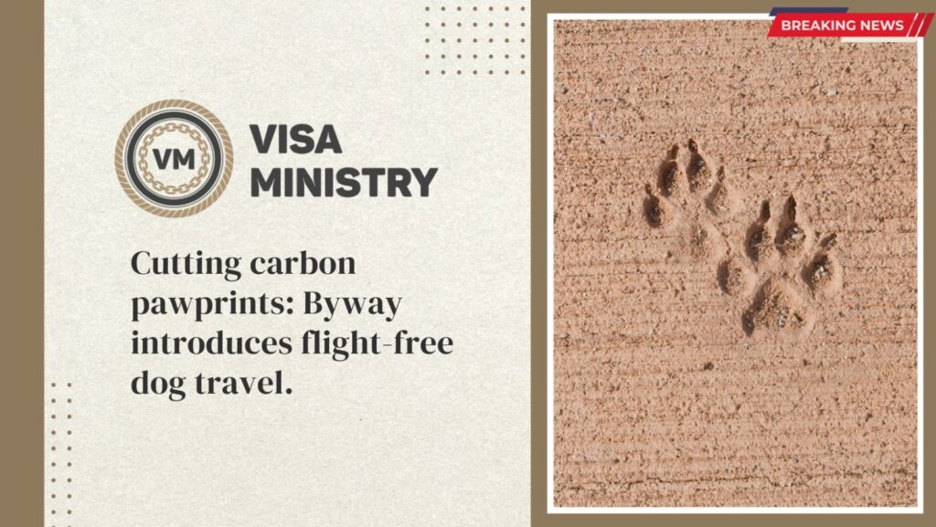 Cutting carbon pawprints Byway introduces flight-free dog travel