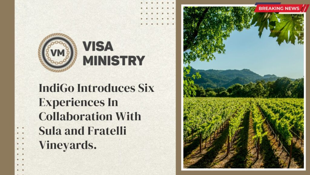 IndiGo Introduces Six Experiences In Collaboration With Sula and Fratelli Vineyards