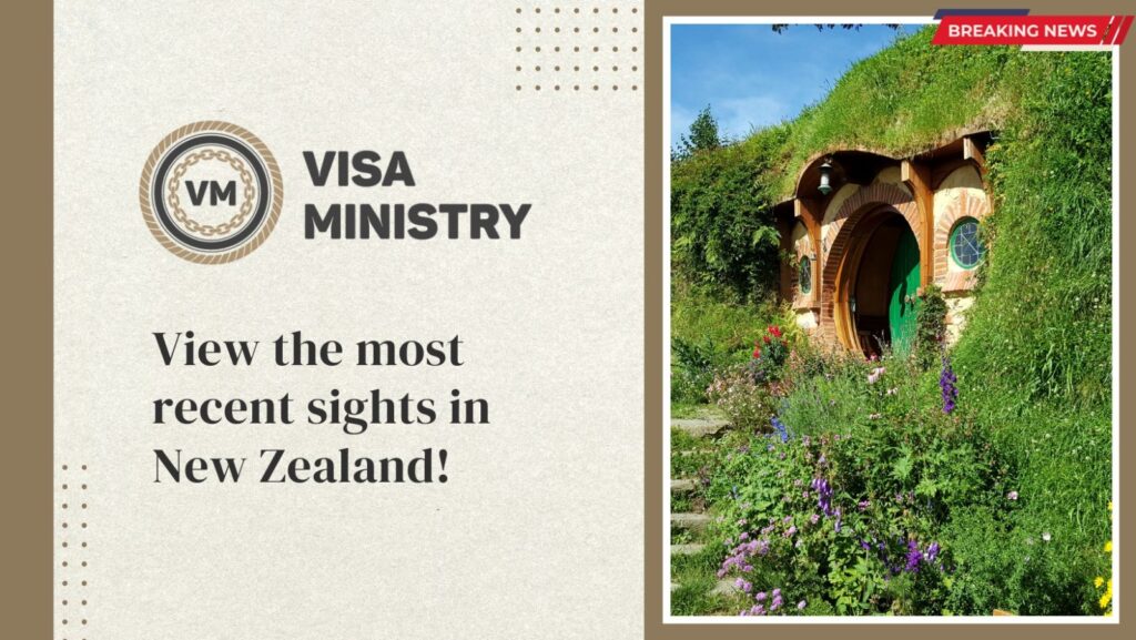View the most recent sights in New Zealand!