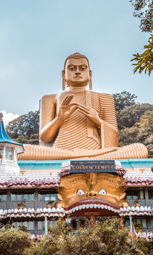 untitled design (40)